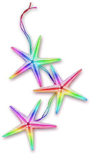 Starfish.Rainbow - Free PNG