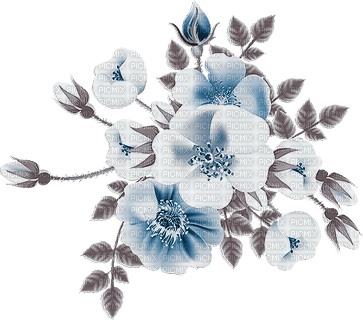 soave deco flowers rose branch blue brown - фрее пнг