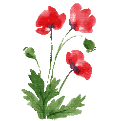 Fleurs.Flowers.Red.Garden.gif.Victoriabea - Ücretsiz animasyonlu GIF