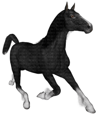 Kaz_Creations Animals Horses Horse - png gratis