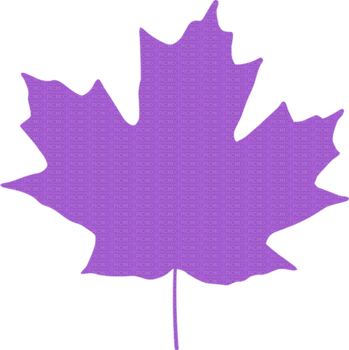 purple maple leaf Bb2 - безплатен png