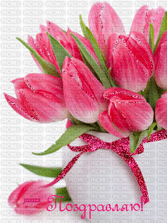 tulips - Animovaný GIF zadarmo