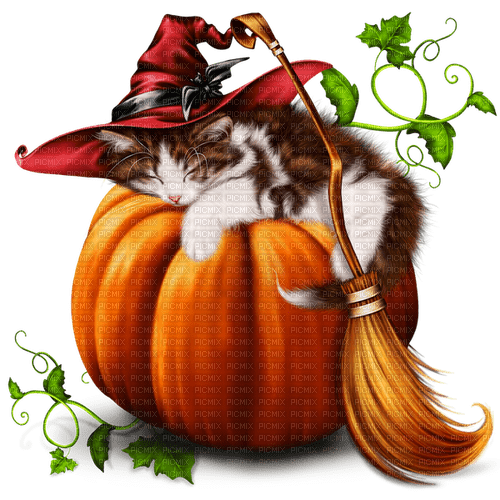 Halloween, Kürbis, Katze - besplatni png
