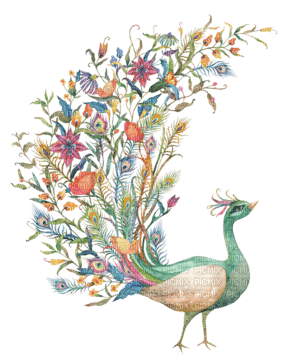Peacock Bird - kostenlos png