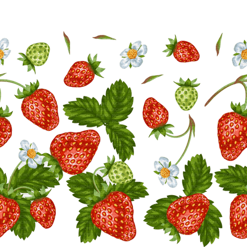 strawberries sunshine3 - zadarmo png