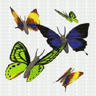 papillon - Gratis animeret GIF