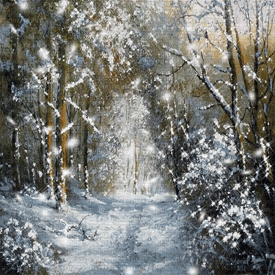 kikkapink background tree lights snow winter - Ilmainen animoitu GIF