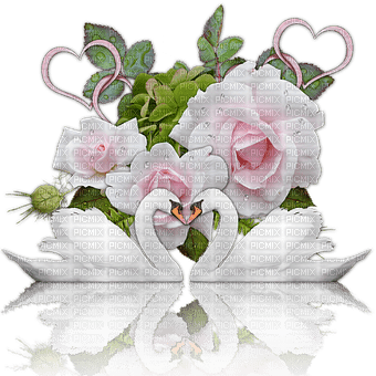 kikkapink swan flowers rose pink white spring - gratis png