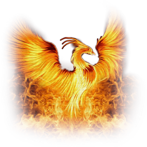 Rising phoenix - kostenlos png