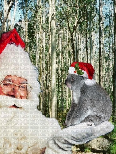 Christmas in Australia bp - ücretsiz png