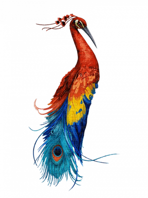 peacock pfau paon bird oiseau vogel tube animal - ücretsiz png
