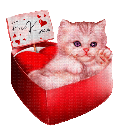valentine cat by nataliplus - Безплатен анимиран GIF