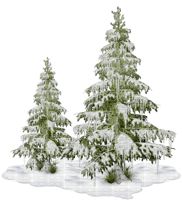 Winter trees landscape_hiver arbres paysage - бесплатно png