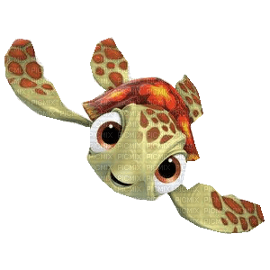 tortue - zadarmo png