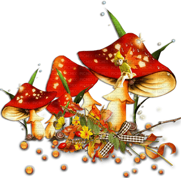 soave deco autumn mushrooms scrap red green brown - zdarma png