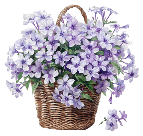 flower basket Bb2 - zdarma png