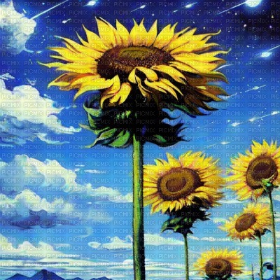Sunflowers against a Blue Sky - PNG gratuit