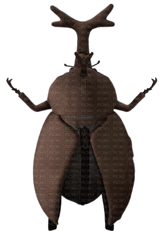 rhinoceros beetle backpack - png ฟรี