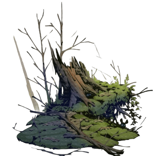 Tree stump - png grátis