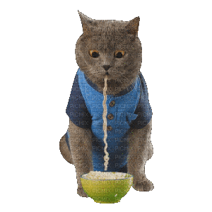 Cat Eating - Ingyenes animált GIF
