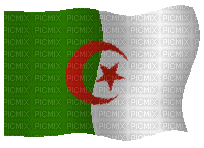 algeria - Zdarma animovaný GIF