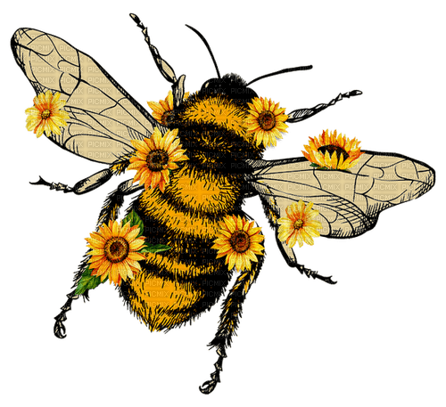 bee, sunflowers, yellow, abeille - besplatni png