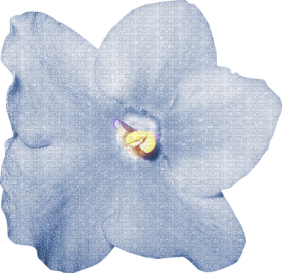 Kaz_Creations  Deco Baby Blue Flower - darmowe png