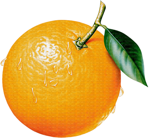 Orange - nemokama png