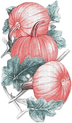 soave deco autumn thanksgiving pumpkin pink teal - png grátis