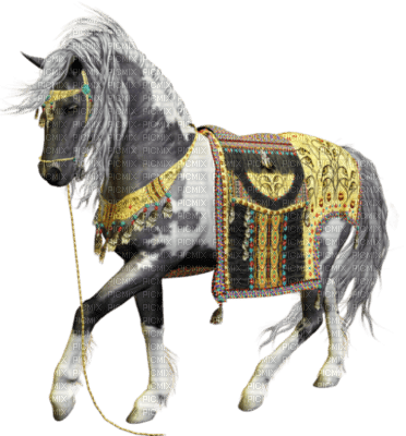 cheval - δωρεάν png