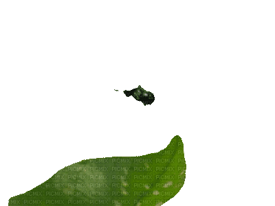 dragonfly - GIF animado grátis