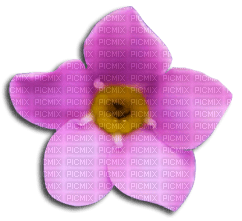 fleur - png gratis