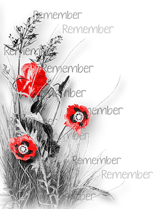 soave deco flowers poppy corner branch text - 免费PNG