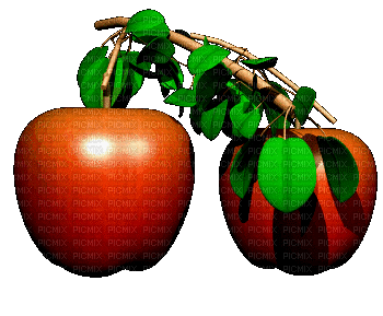 Apples gif Pelageya