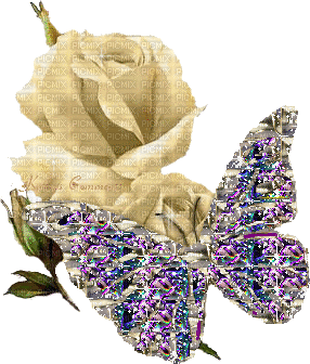 Schmetterling, Rose - Бесплатни анимирани ГИФ