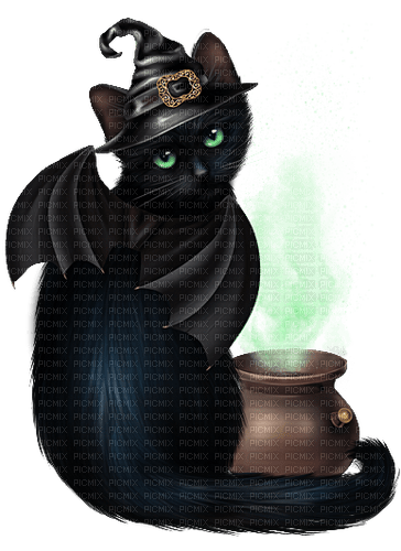 black cat by nataliplus - PNG gratuit