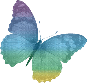 Schmetterling - δωρεάν png