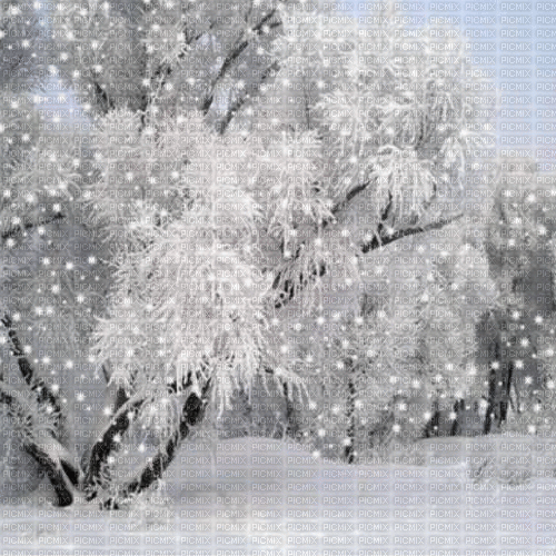 garda lake background chrismas winter animated gif - GIF animé gratuit