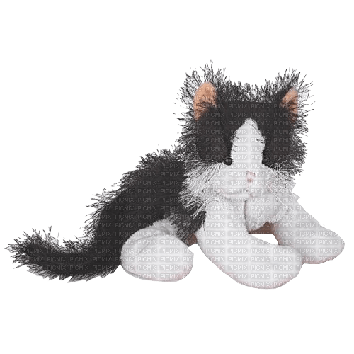 Webkinz Black and White Cat Plush - 免费PNG