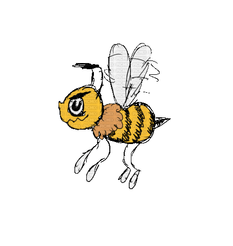 bee - Free animated GIF