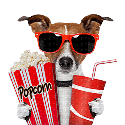 Kaz_Creations  Funny  Dog Pup Dogs 🐶 - png gratis