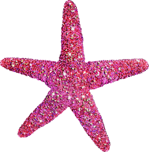 Starfish.Pink - Free PNG