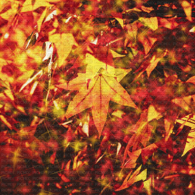 Autumn Fantasy background kikkapink orange - Animovaný GIF zadarmo