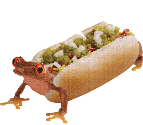 hot dog frog - 無料png
