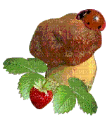 mushroom_ladybird - Δωρεάν κινούμενο GIF