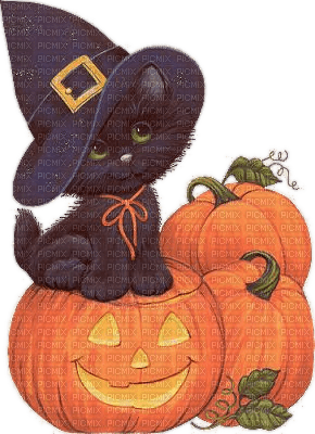 Halloween, Pumpkin, Cat, Kürbis, Katze - png gratis