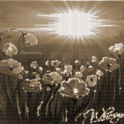 Y.A.M._Summer background flowers sepia - Безплатен анимиран GIF