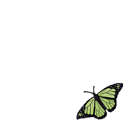 papillon vert-green butterfly