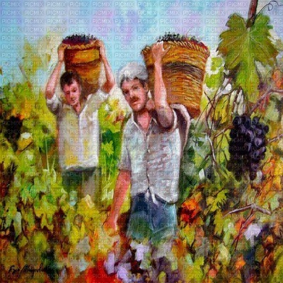 fond vineyard bp - nemokama png