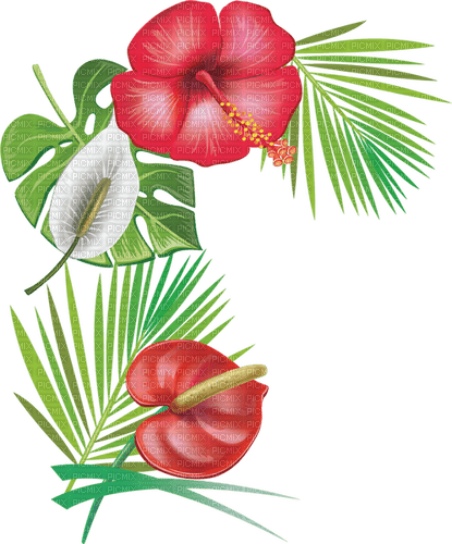tropical flowers Bb2 - zadarmo png